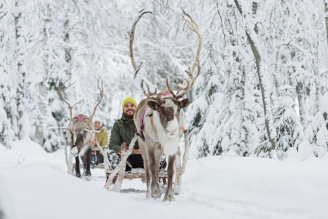 Levi Reindeer Safari - Long or Quick - with Sledge Ride - Who will enjoy this Levi reindeer safari?