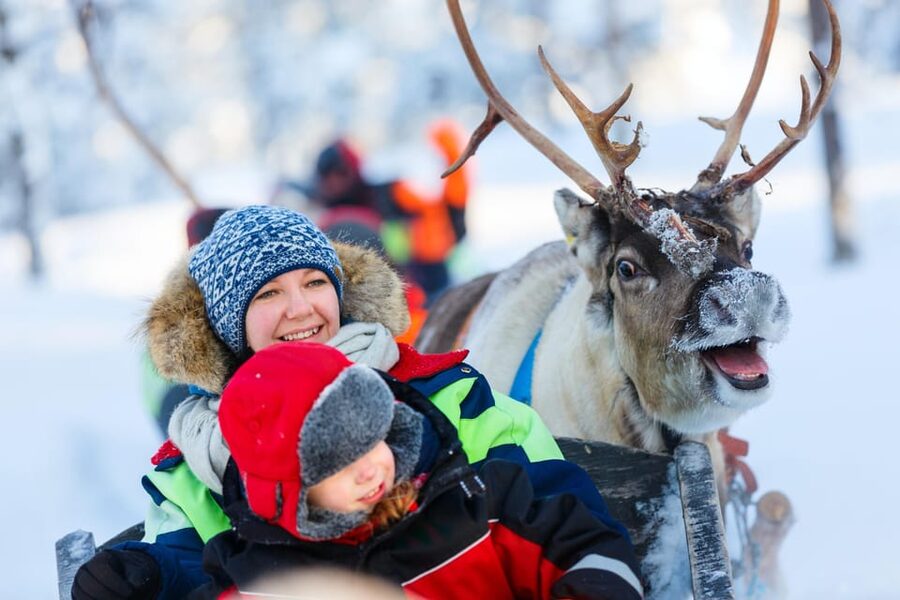 Levi: Reindeer Sleigh Ride Tour in Snowy Forest - How the timing really works