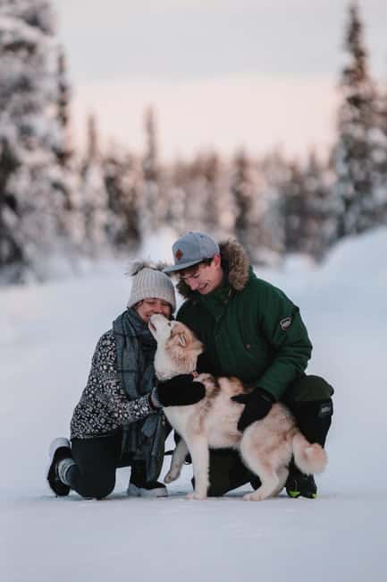 Levi: Self-Drive 2 KM Husky Sledding Experience - What happens at Kurjennivantie 118