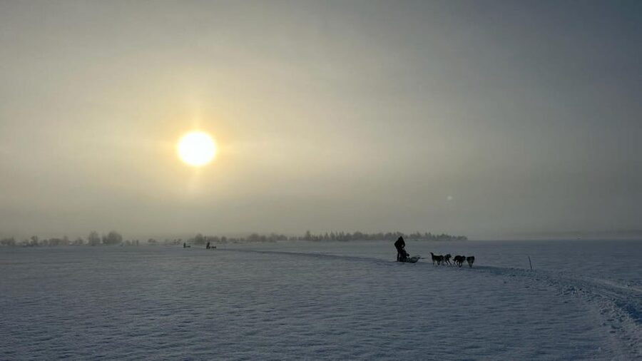 Levi: Self-Drive 5 KM Husky Sledding Experience - Quick reasons to consider this husky ride