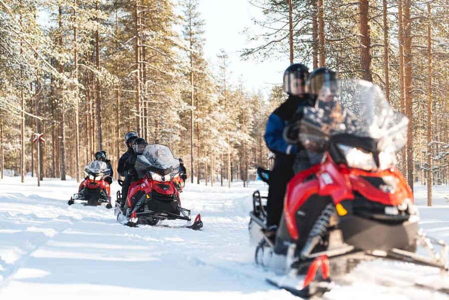 Levi: Snowmobile Safari to the Levi Nature - Key points to know before you book