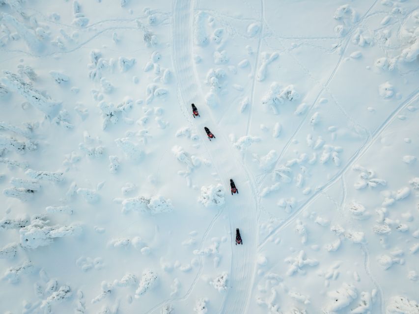 Levi: Snowmobile Safari with Ice Fishing and Outdoor Lunch - Key details before you book