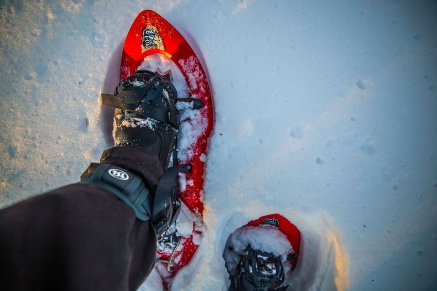 Levi: Snowshoe Adventure in the Wilderness - Into Levi’s Arctic Forest