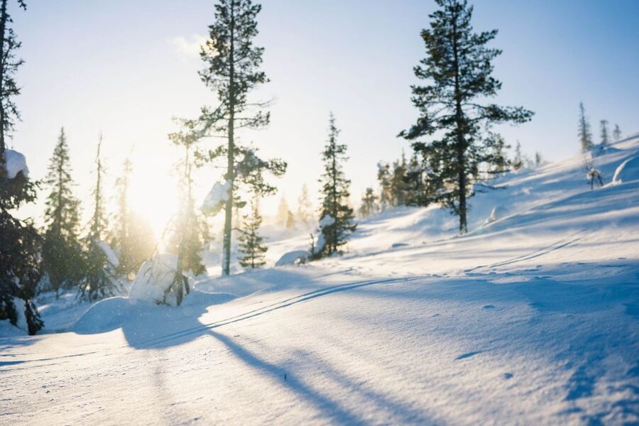 Levi: Snowshoe Adventure in the Wilderness - The Return to Sirkka