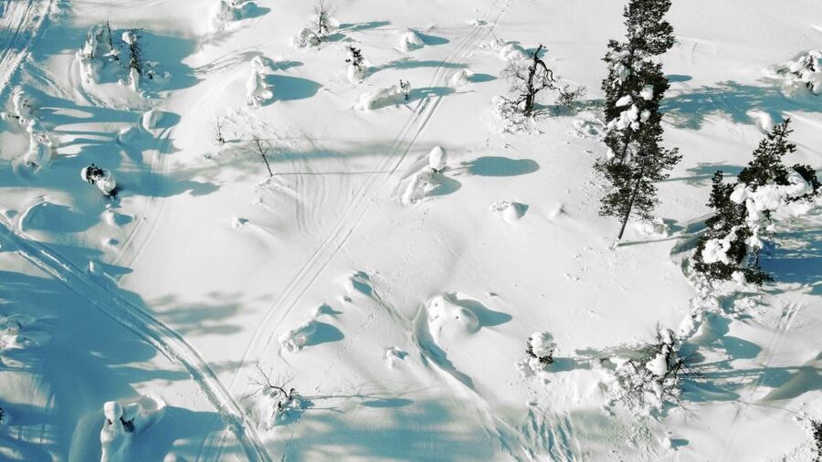 Levi: Snowshoe Adventure in the Wilderness - Several Kilometers on Snowshoes