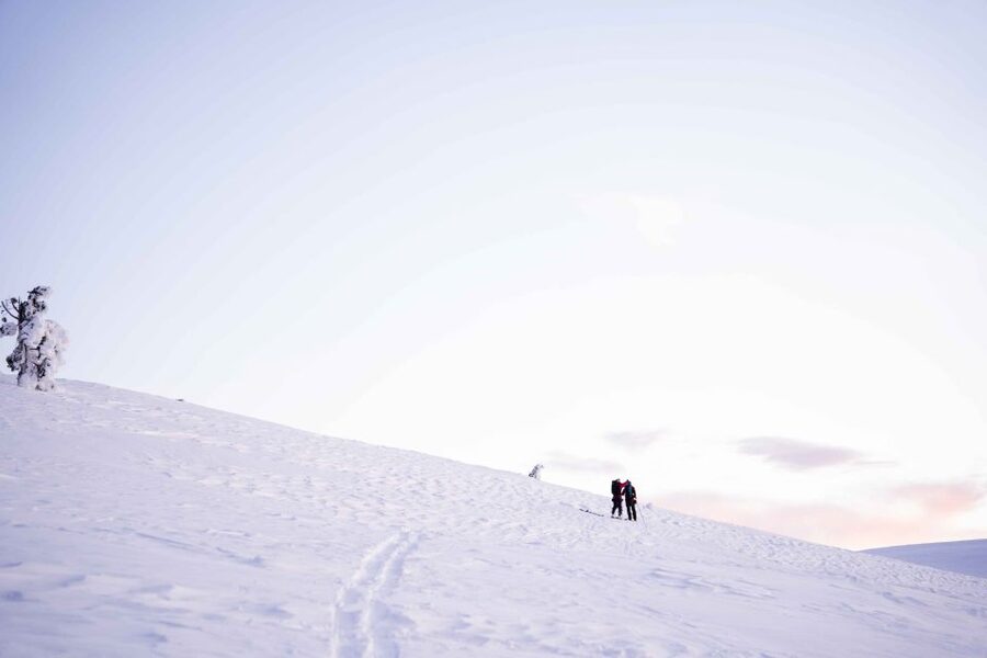 Levi: Snowshoe Adventure in the Wilderness - Photo Stops With Practical Coaching