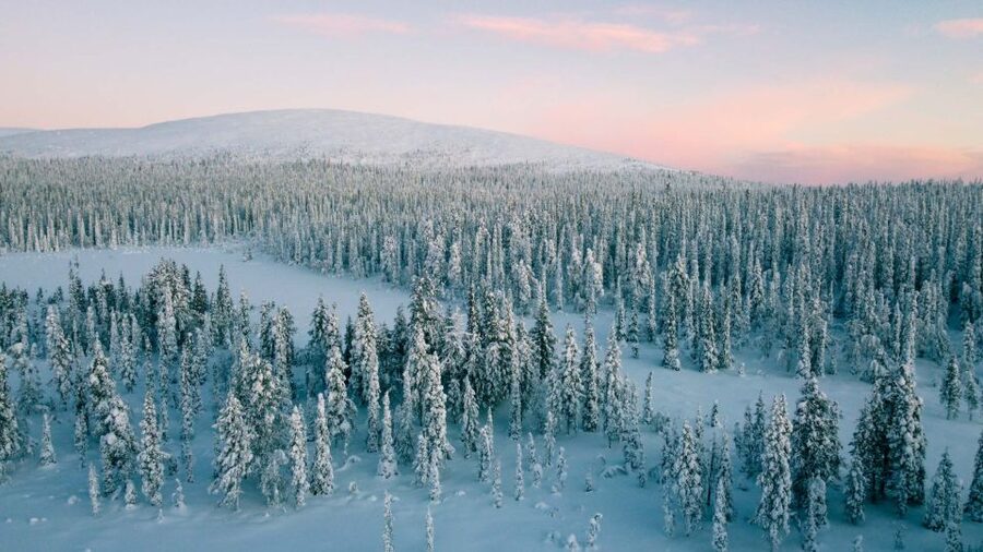 Levi: Snowshoe Adventure in the Wilderness - Small Group, Steady Pace