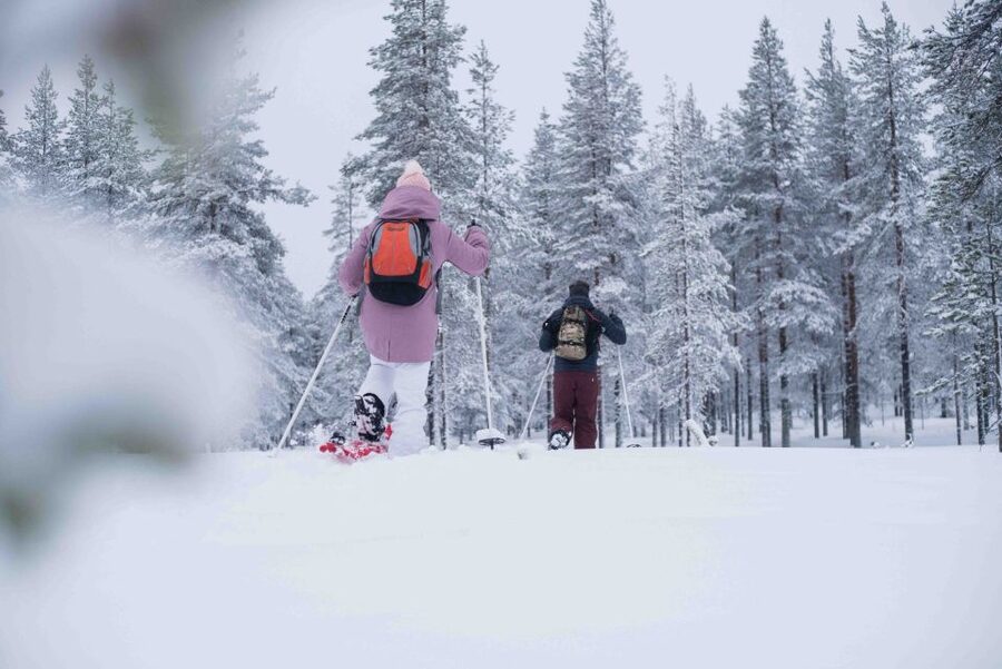 Levi: Snowshoe Adventure in the Wilderness - Is $105 a Fair Price?