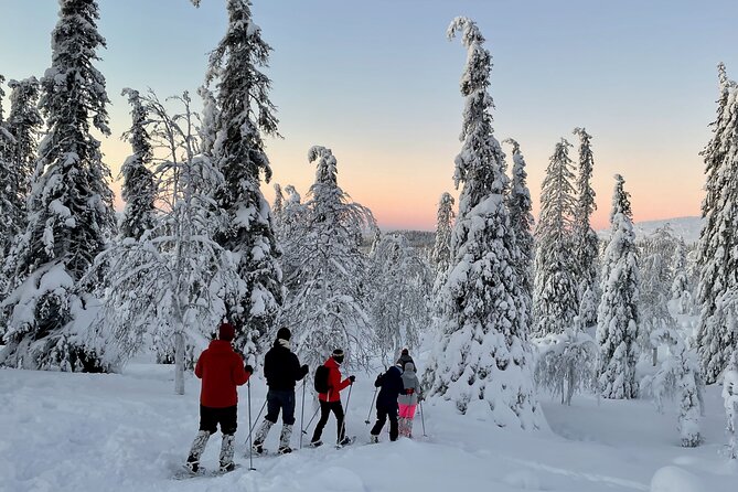 Levi: Snowshoeing adventure in the National Park - Leaving Levi for Pallas-Yllästunturi National Park
