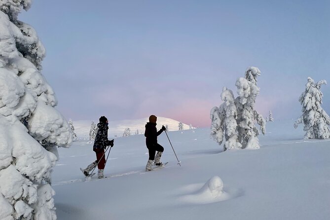 Levi: Snowshoeing adventure in the National Park - Why the small group size matters