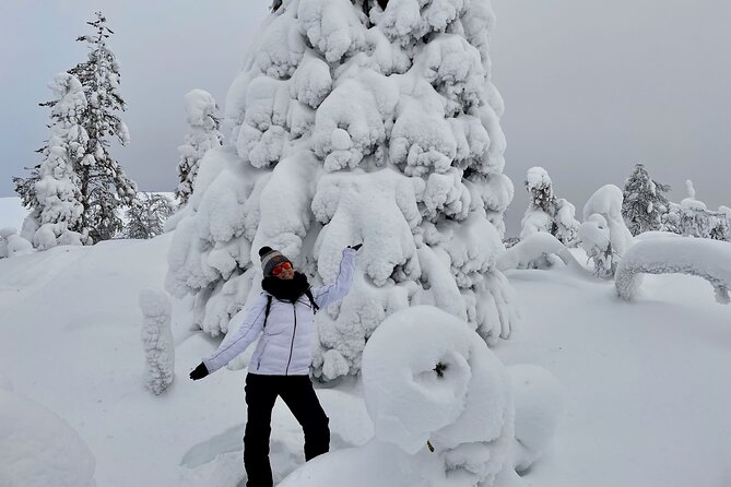 Levi: Snowshoeing adventure in the National Park - Is $191.56 a fair price?