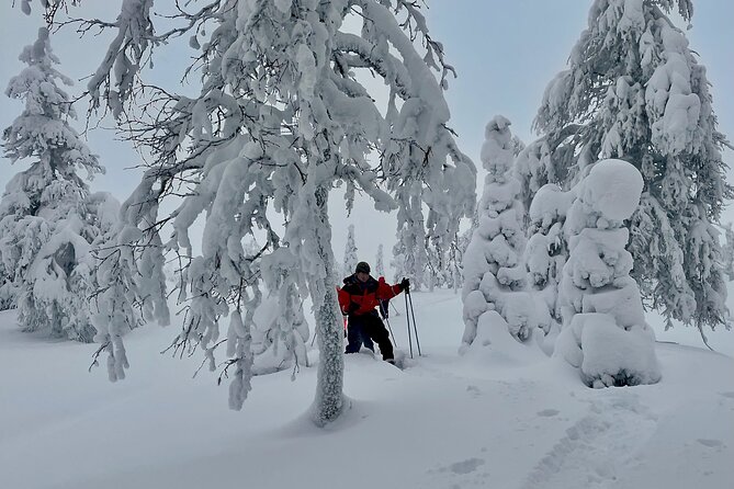 Levi: Snowshoeing adventure in the National Park - Timing, weather, and practical planning