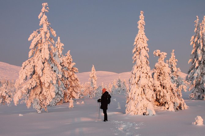 Levi: Snowshoeing adventure in the National Park - Two to two and a half hours among the fells