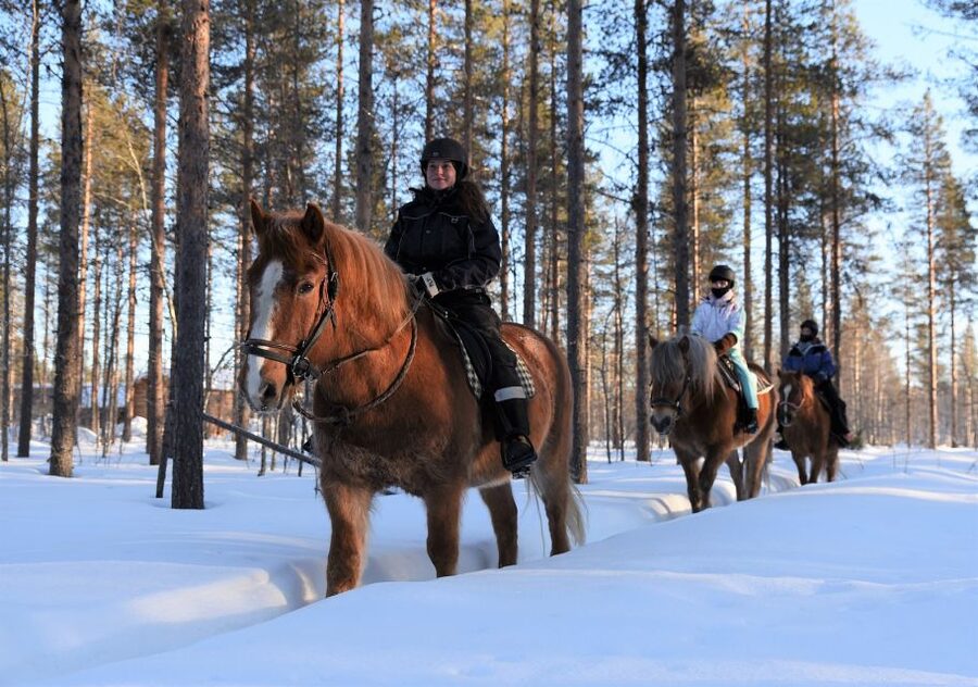 Levi: Snowy Forest Ride and Polar Lights Tours - Key points to know before booking