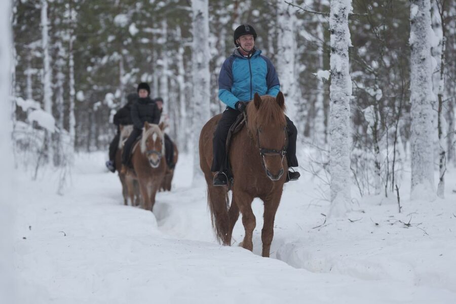 Levi: Snowy Forest Ride and Polar Lights Tours - A quiet horse ride beyond Levi
