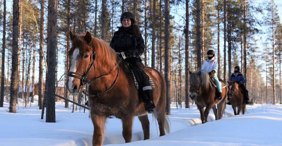 Levi: Snowy Forest Ride and Polar Lights Tours - Picking the right departure time
