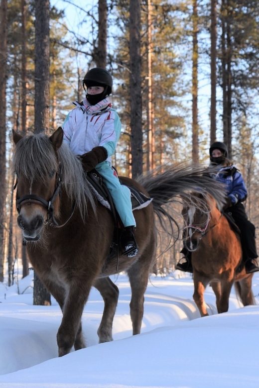 Levi: Snowy Forest Ride and Polar Lights Tours - Booking details that matter