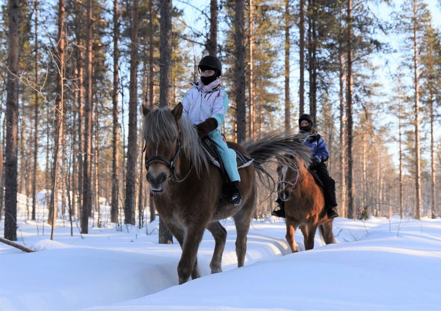 Levi: Snowy Forest Ride and Polar Lights Tours - Meeting at Hissitie 11 in central Levi