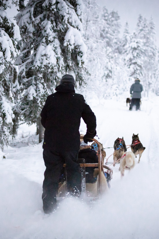 Levi: Winter Highlights Family Day - Pickup points, timing, and the return to Levi