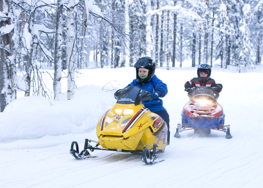 Levi: Winter Highlights Tour with Snowmobiling - Why this tour works well for a first Lapland day