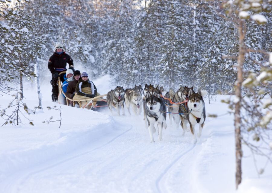 Levi: Winter Highlights Tour with Snowmobiling - Getting warm before you get moving