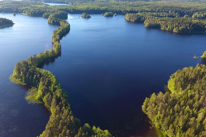 Magical Taiga Forest Hike with Lunch and Transportation - The return walk and afternoon ride back