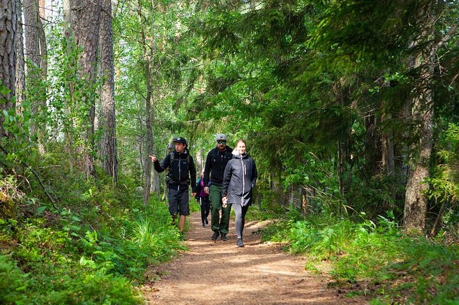 Magical Taiga Forest Hike with Lunch and Transportation - Weather, clothing, and practical comfort