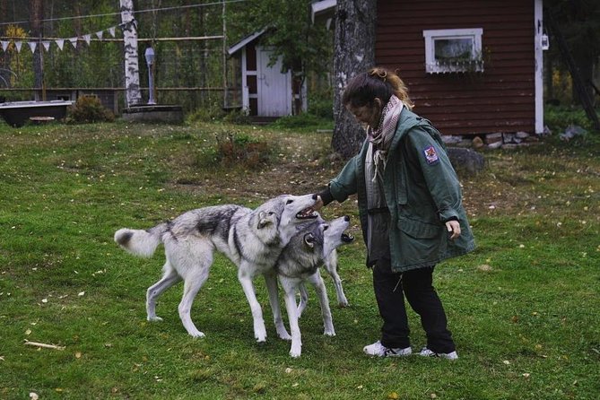 Meet Taivas & the Arctic Wolves - Private Tour - Booking value and the no-refund condition