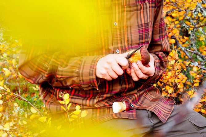 Mushroom Hunting in a National Park - Why mushroom hunting makes a good Helsinki day trip