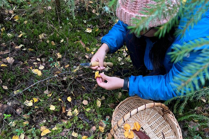 Mushroom Hunting in a National Park - What happens when the baskets are full
