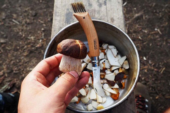 Mushroom Hunting in a National Park - Weather, clothing, and the seasonal trade-off