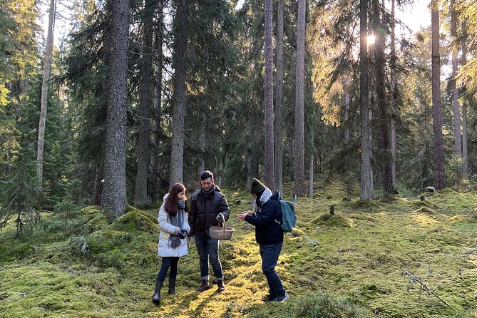 Mushroom Hunting in a National Park - Is $186.22 a fair price?