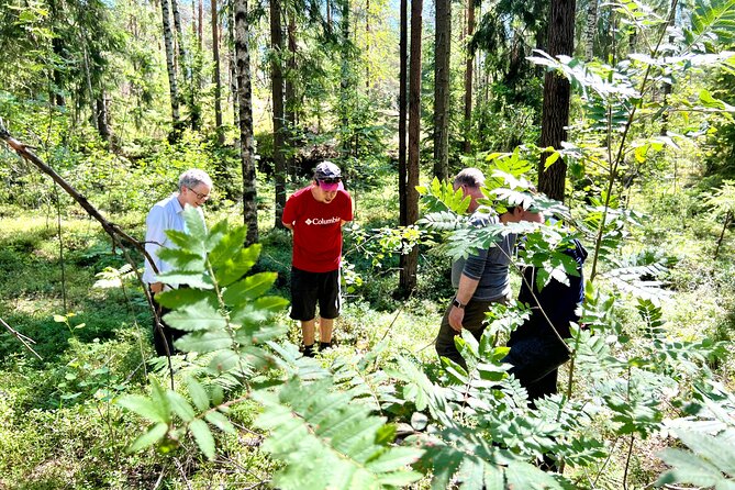 National Park Hike & Finnish Smoke Sauna Experience with Campfire Lunch - Why the smoke sauna is the highlight