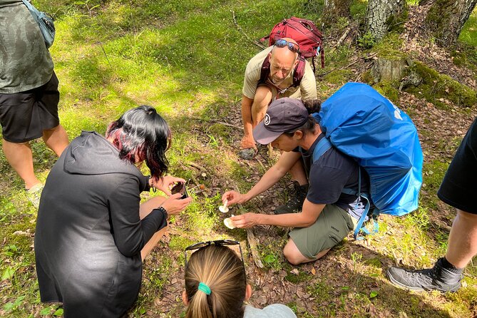 National Park Hike & Finnish Smoke Sauna Experience with Campfire Lunch - Who will enjoy this day most
