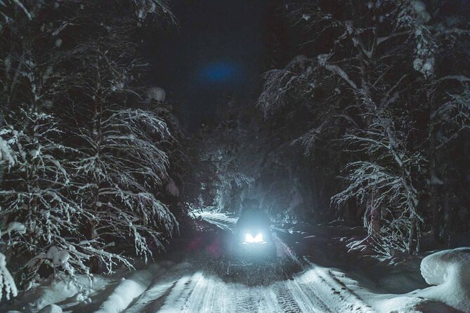 Night Snowmobile Safari, Rovaniemi - What $174.42 represents