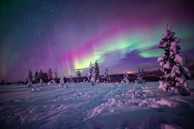 Night Snowshoeing Adventure under the Northern Lights - Key points at a glance