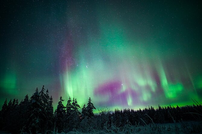 Night Snowshoeing Adventure under the Northern Lights - Transport and meeting in Rovaniemi