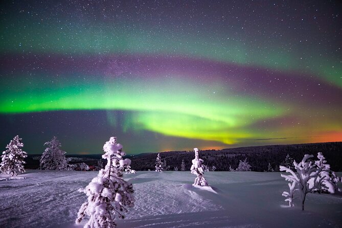 Night Snowshoeing Adventure under the Northern Lights - What the three-hour outing really includes