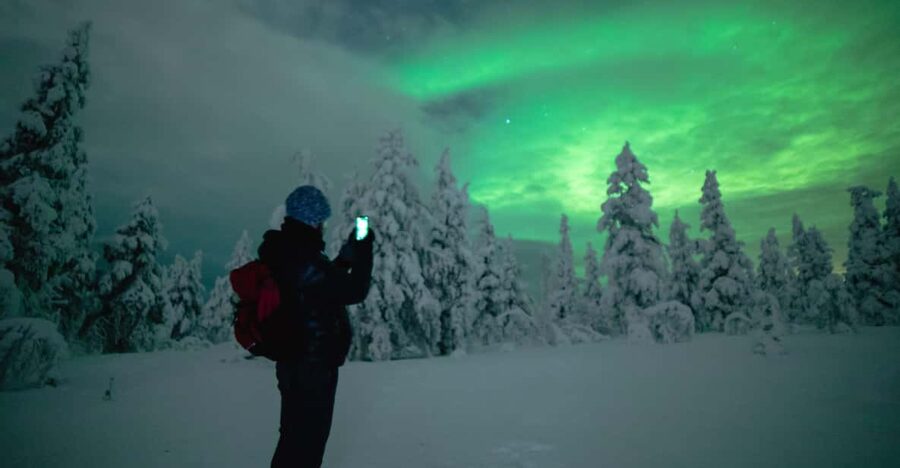 Night Snowshoeing Lapland Experience - A quiet start to Rovaniemi’s winter night
