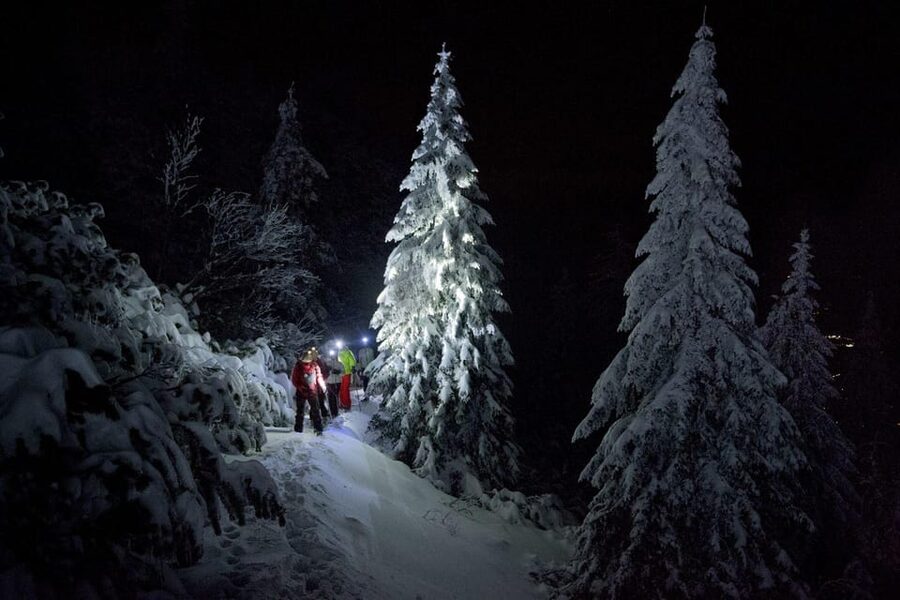 Night Snowshoeing Lapland Experience - How the Northern Lights fit into the tour