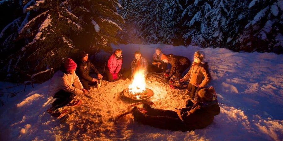 Night Snowshoeing Lapland Experience - Guide languages and personal service
