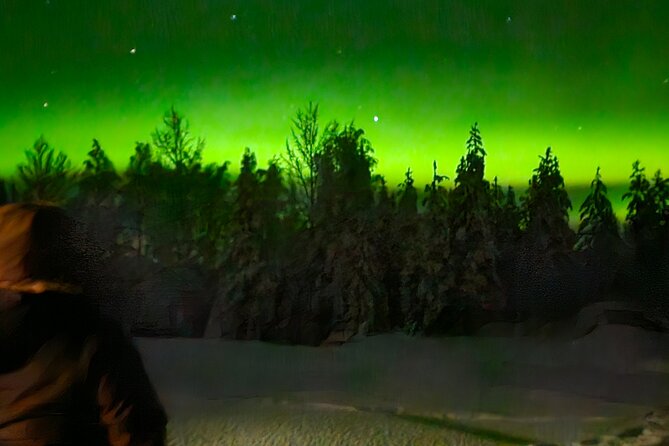 Northern Lights Auroras from Kemi-Tornio with Pickup - What the guides add to the evening
