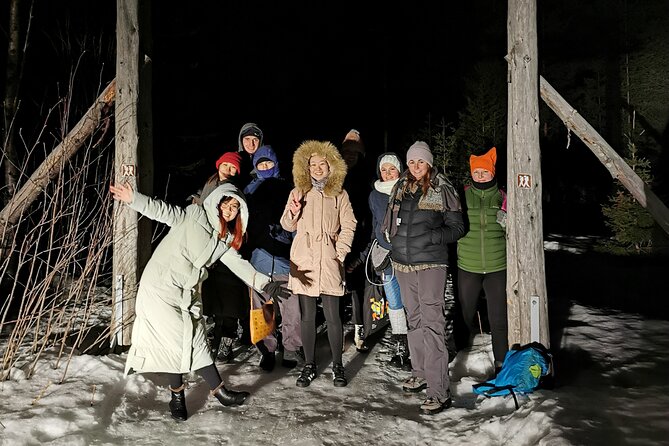 Northern Lights Auroras from Kemi-Tornio with Pickup - Cold, snow, and physical demands