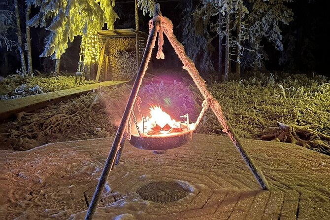 Northern Lights dinner in a Glass Igloo - Who gets the best value from this private tour?