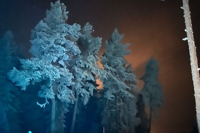 Northern Lights dinner in a Glass Igloo - Should you book the glass igloo dinner?