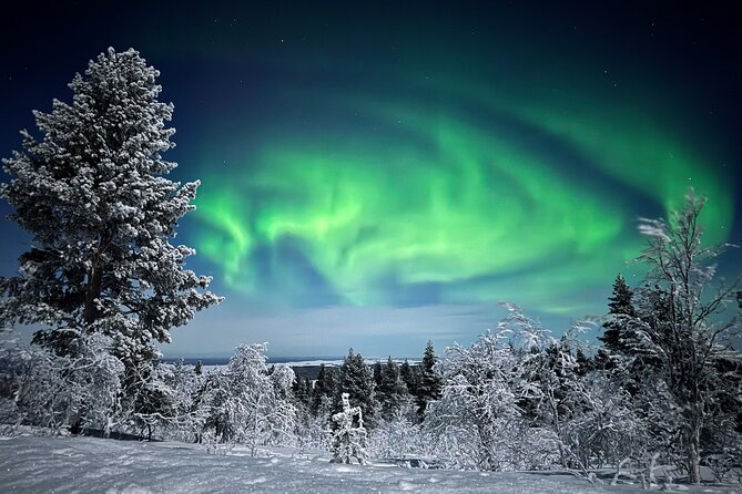 Northern Lights Holiday in Finland - Six days in Ivalo, with your own warm base