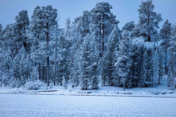 Northern Lights Holiday in Finland - The last morning, plus useful extension ideas