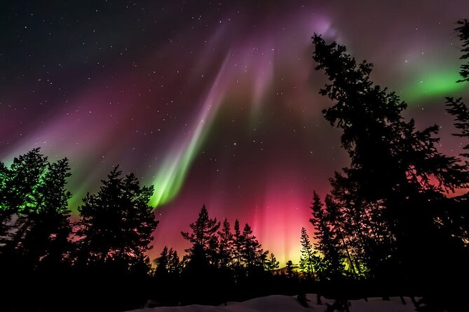 Northern Lights Hunt from Rovaniemi with Folk Tales and Snacks over Campfire - Who will enjoy this Rovaniemi experience?
