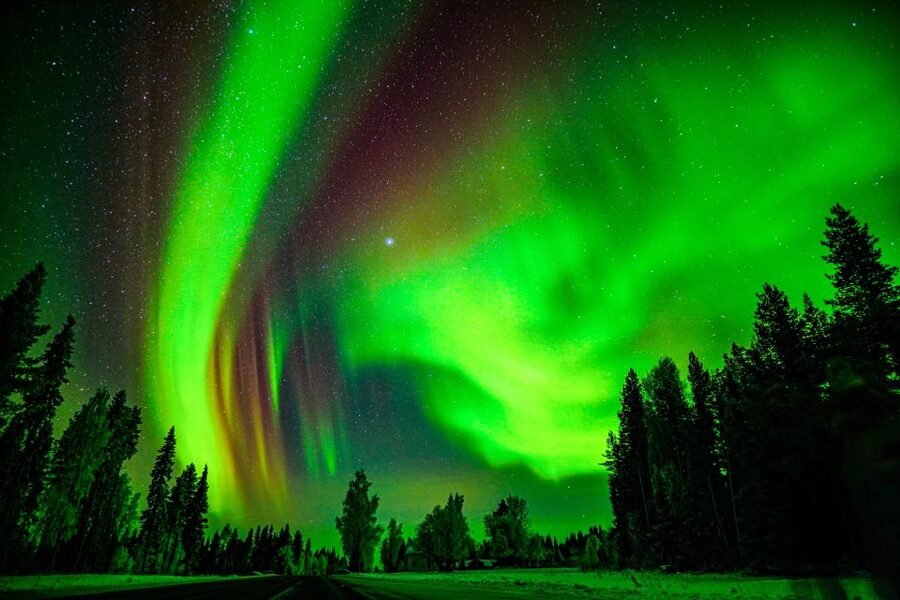 Northern Lights Hunting Adventure in Lapland - Who will enjoy this night most?