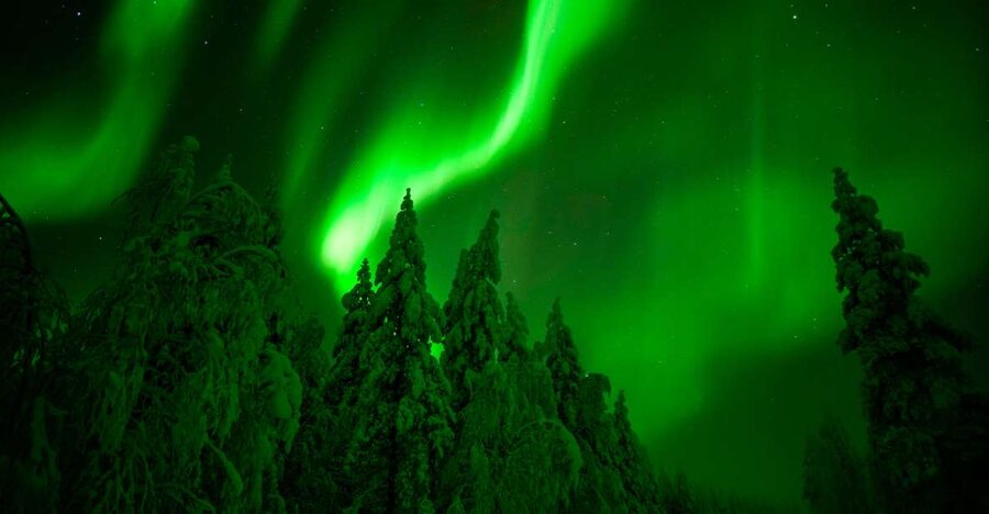 Northern Lights Hunting Adventure in Lapland - Reading the sky before leaving town